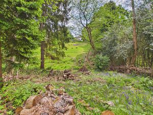 Woodland- click for photo gallery